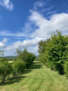 Les extérieurs du gîte du Domaine de Soussuéjouls - Aveyron